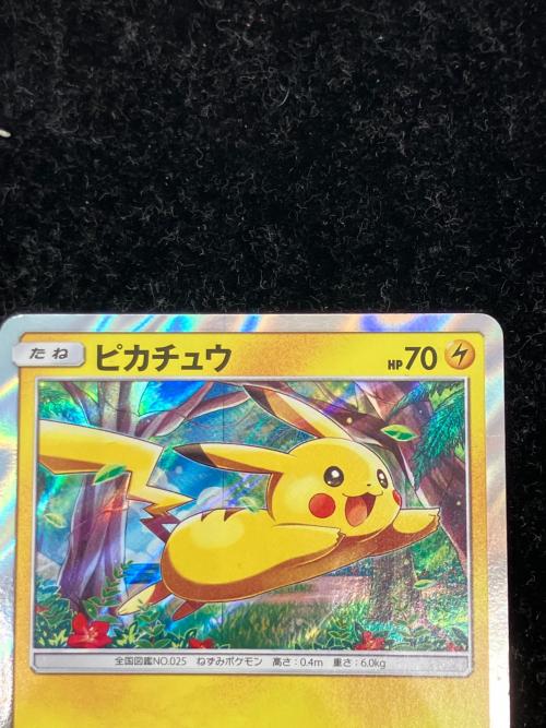 ピカチュウ ポケモンカード ピカチュウと新しい仲間たち