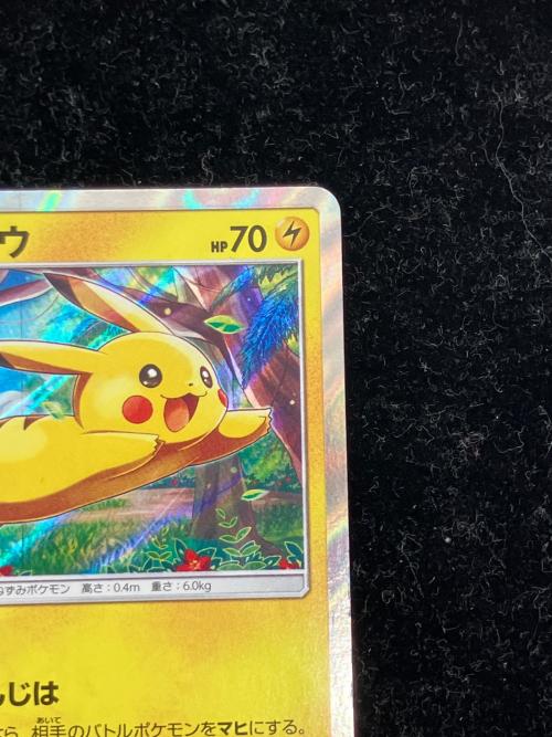 ピカチュウ ポケモンカード ピカチュウと新しい仲間たち