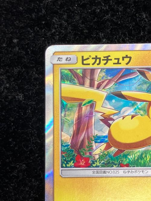 ピカチュウ ポケモンカード ピカチュウと新しい仲間たち