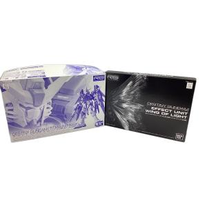BANDAI (バンダイ) ガンプラ ※拡張エフェクトユニット”光の翼”セット RG 1/144 デスティニーガンダム〔チタニウムフィニッシュ〕