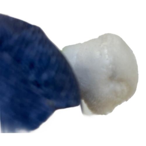 Pokemon Center (ポケモンセンター)限定品 マスコット ルイージピカチュウ