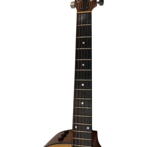 Taylor Guitars (ティラーギター) エレアコギター 114ce @旧型9V対応品