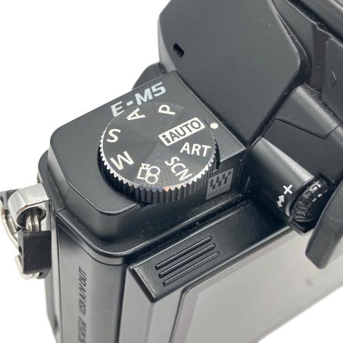 OLYMPUS (オリンパス) ミラーレス一眼カメラ OM-D E-M5｜トレファクONLINE