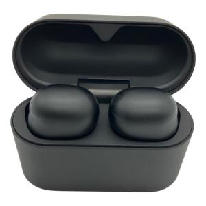 SONY (ソニー) ワイヤレスイヤホン WF-1000XM6