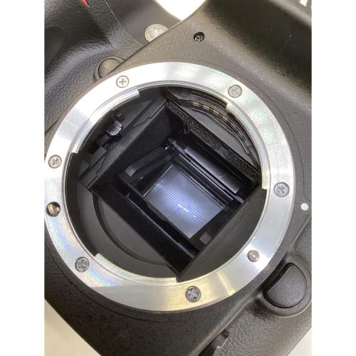 Nikon (ニコン) 一眼レフカメラ D80 充電器欠品 レンズ曇り有