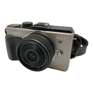 Panasonic (パナソニック) ミラーレス一眼カメラ DMC-GX1 LUMIX