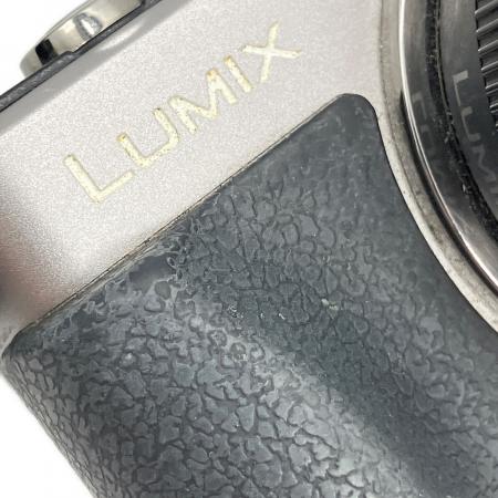 Panasonic (パナソニック) ミラーレス一眼カメラ DMC-GX1 LUMIX