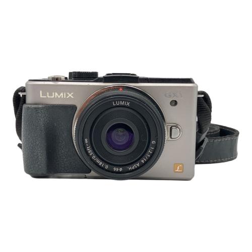 Panasonic (パナソニック) ミラーレス一眼カメラ DMC-GX1 LUMIX