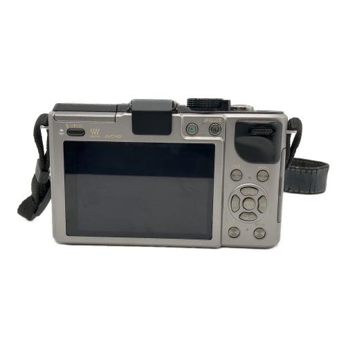 Panasonic (パナソニック) ミラーレス一眼カメラ DMC-GX1 LUMIX