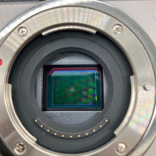 Panasonic (パナソニック) ミラーレス一眼カメラ DMC-GX1 LUMIX