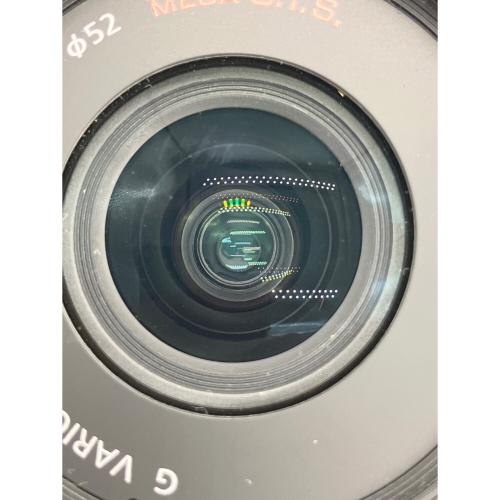 Panasonic (パナソニック) ミラーレス一眼カメラ DMC-GX1 LUMIX