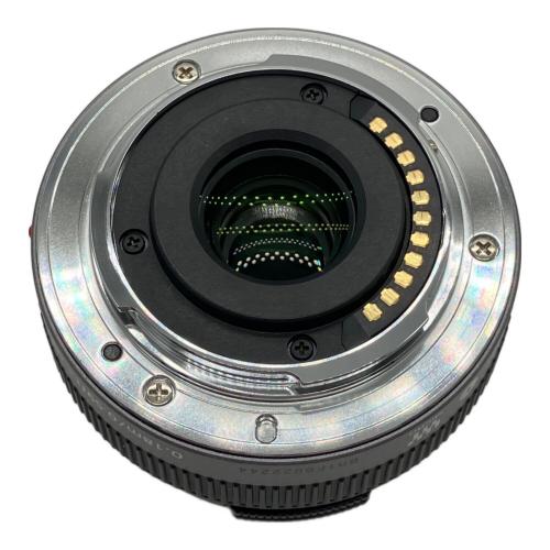 Panasonic (パナソニック) ミラーレス一眼カメラ DMC-GF3