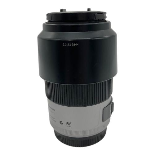 Panasonic (パナソニック) ズームレンズ H-PS45175-K