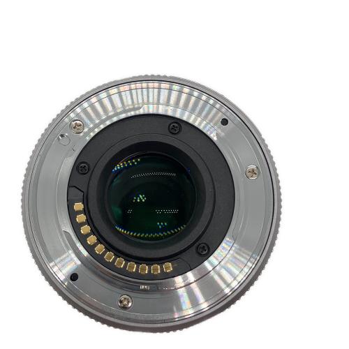 Panasonic (パナソニック) ズームレンズ H-PS45175-K