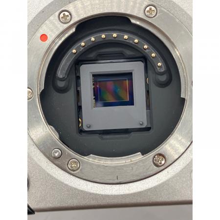 PENTAX (ペンタックス) コンパクトミラーレス一眼カメラ Q10