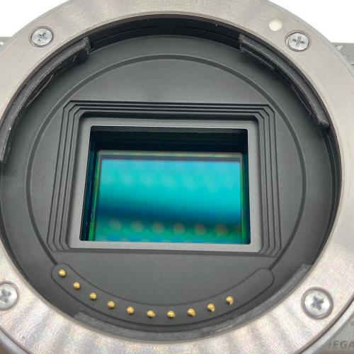 SONY (ソニー) 一眼カメラ NEX-5N