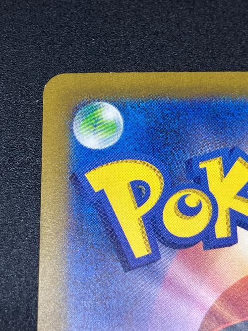 カメックスex ポケモンカード 202/165 SAR