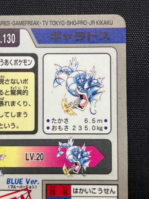 カードダス　ポケモン ギャラドス