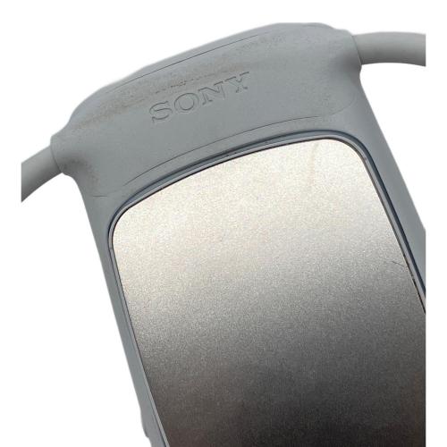SONY (ソニー) REON POCKET RNPK-5T 通電確認済み