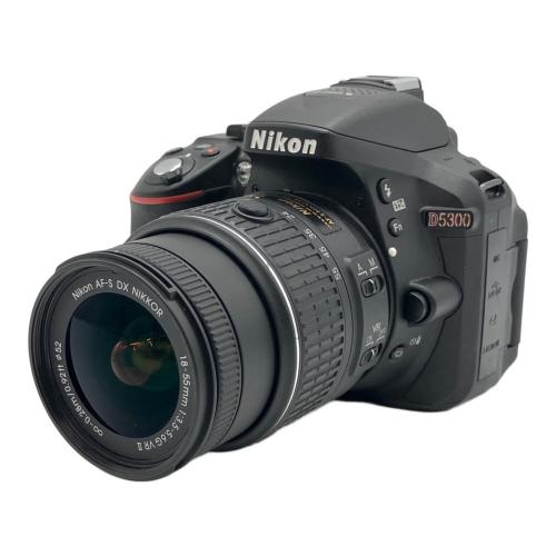 Nikon (ニコン) デジタル一眼レフカメラ D5300