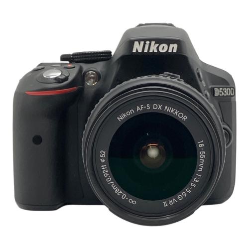 Nikon (ニコン) デジタル一眼レフカメラ D5300