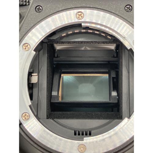 Nikon (ニコン) デジタル一眼レフカメラ D5300