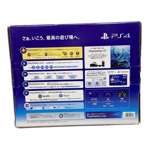 SONY (ソニー) Playstation4 CUH-2200A 500GB 300