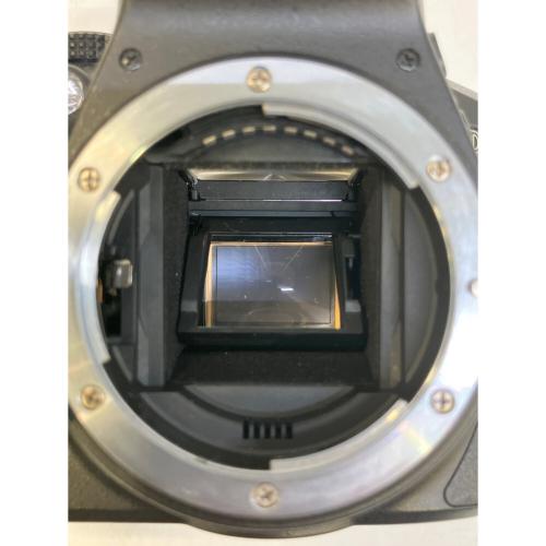 Nikon (ニコン) デジタル一眼レフカメラ D5300