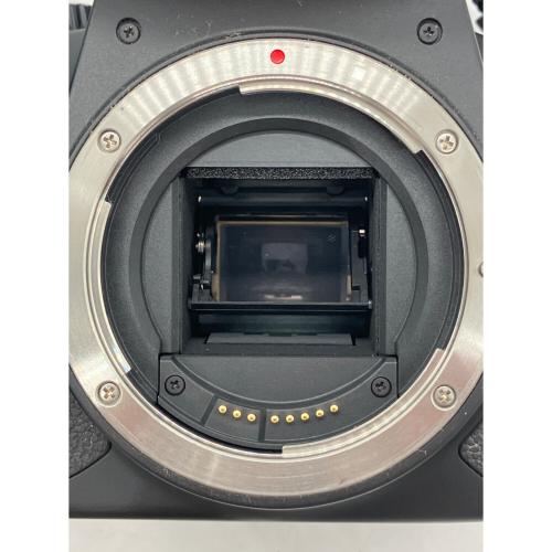 CANON (キヤノン) デジタル一眼レフカメラ X6i