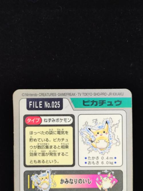 カードダス ポケモングッズ