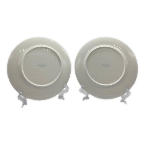 TIFFANY & Co. (ティファニー) プレート プラチナブルーバンド 2Pセット