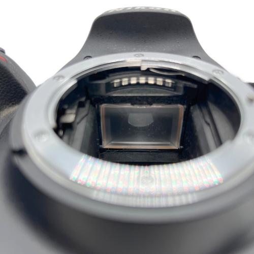 Nikon (ニコン) デジタル一眼レフカメラ D3200