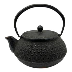南部鉄器 (ナンブテッキ) 急須