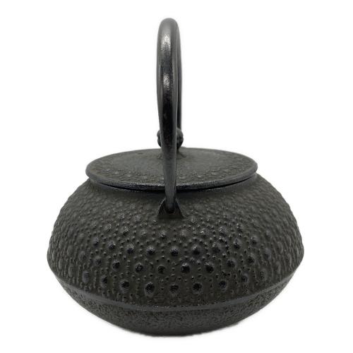 南部鉄器 (ナンブテッキ) 急須