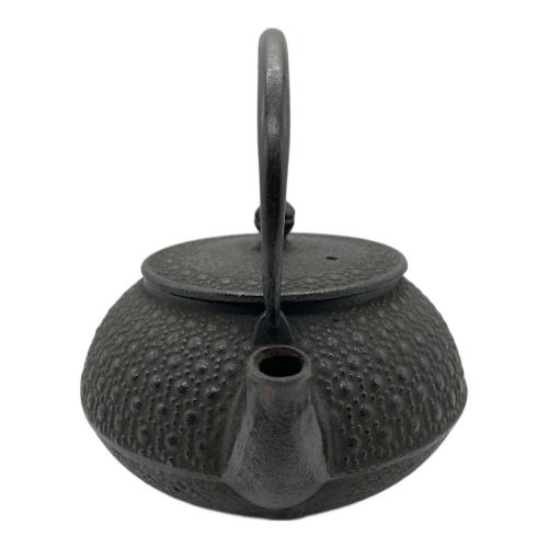 南部鉄器 (ナンブテッキ) 急須