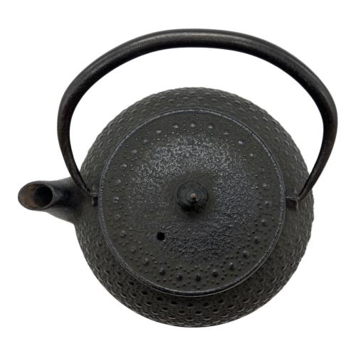 南部鉄器 (ナンブテッキ) 急須