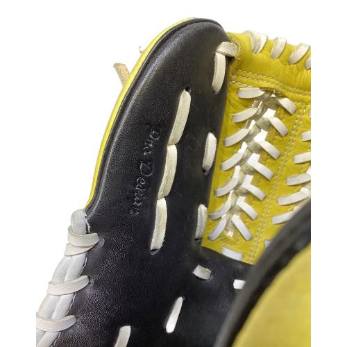 RAWLINGS (ローリングス) 軟式グローブ GR4PA46
