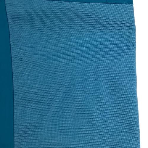 Patagonia (パタゴニア) スキーウェア(パンツ) レディース SIZE M ブルー 31128