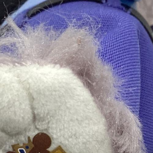 UniBEARsity バッジ付きブラッシュキーチェーン パウキャット