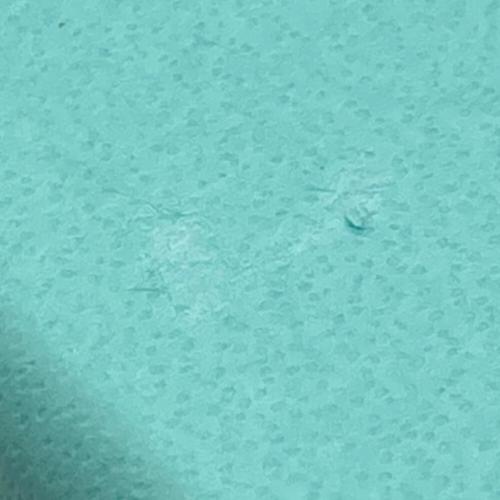 TIFFANY & Co. (ティファニー) シャンパングラス フローレット