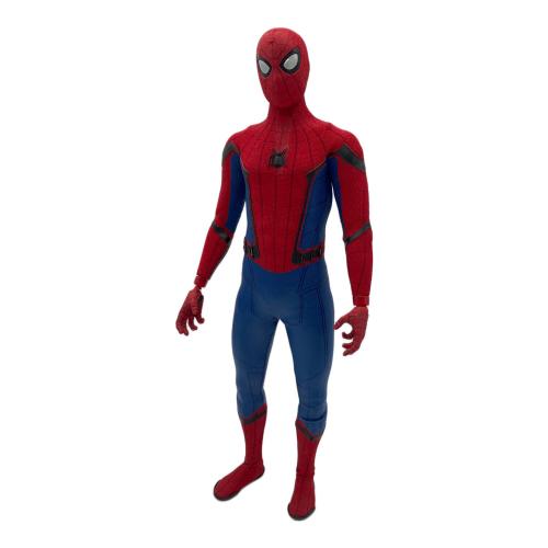 Hot toys (ホット トイズ) MARVEL 1/6スケールフィギュア