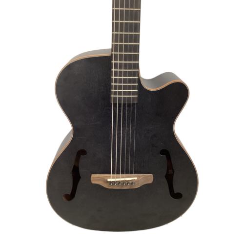 ARIA (アリア) エレアコギター FET-F2 ブラック