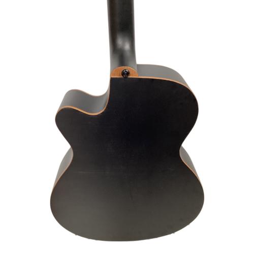 ARIA (アリア) エレアコギター FET-F2 ブラック