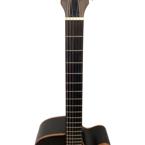 ARIA (アリア) エレアコギター FET-F2 ブラック