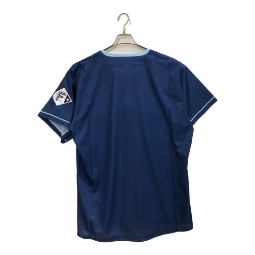 北海道日本ハムファイターズ (ホッカイドウニッポンハムファイターズ) WE LOVE HOKKIDO&FIGHTERS 応援グッズ 受注販売品 ブルー