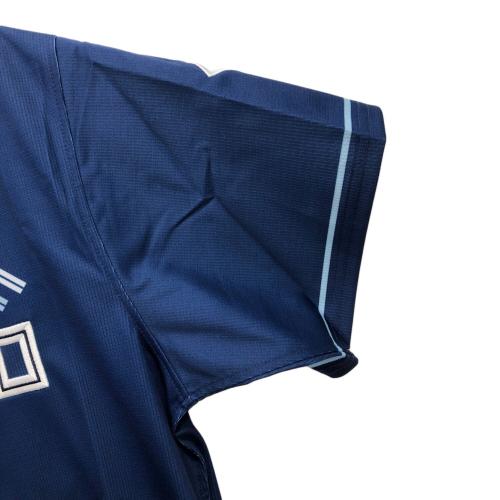 北海道日本ハムファイターズ (ホッカイドウニッポンハムファイターズ) WE LOVE HOKKIDO&FIGHTERS 応援グッズ 受注販売品 ブルー