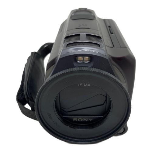 SONY (ソニー) デジタルビデオカメラ HDR-PJ800