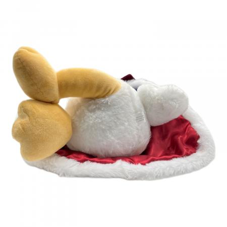 Disney STORE (ディズニーストア) ドナルド THE KING BIRTHDAY