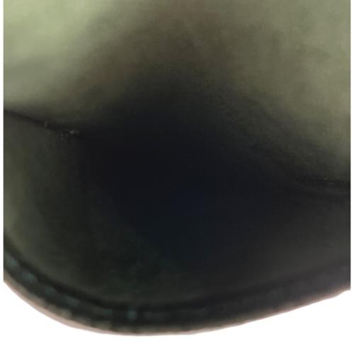 LOUIS VUITTON (ルイ ヴィトン) ペンケース M30364 グリーン タイガ