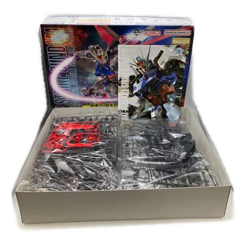 BANDAI (バンダイ) 1/100 MG エールストライクガンダム Ver.RM ソリッドクリアアナザー 「一番くじ 機動戦士ガンダム ガンプラ 2023」 ラストワン賞 [2682540] ガンプラ